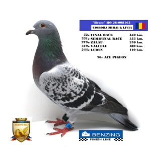 RO 26-008163