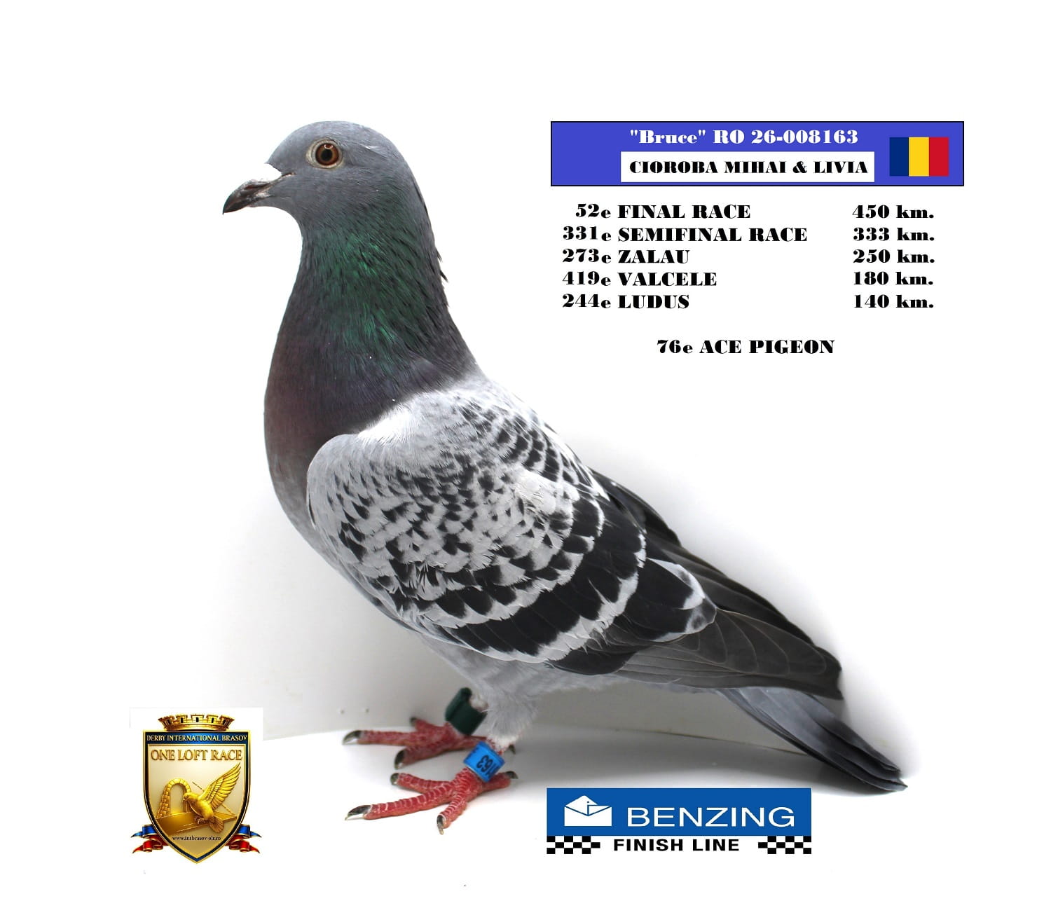 RO 26-008163