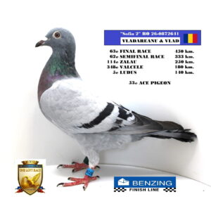 RO 26-0872641