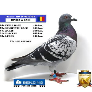 RO 26-0879703