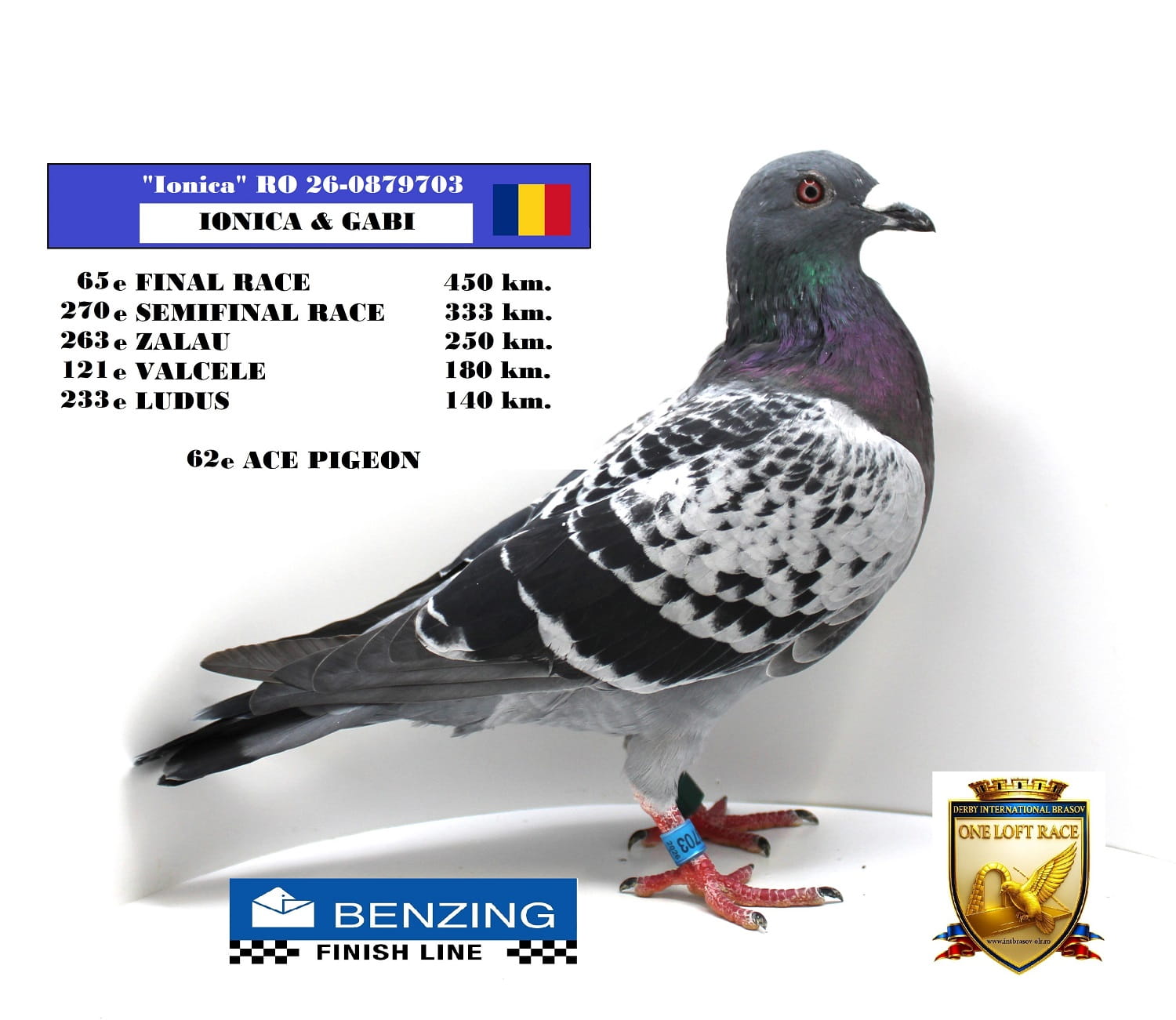 RO 26-0879703