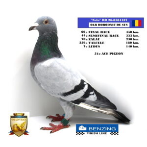RO 26-0384437