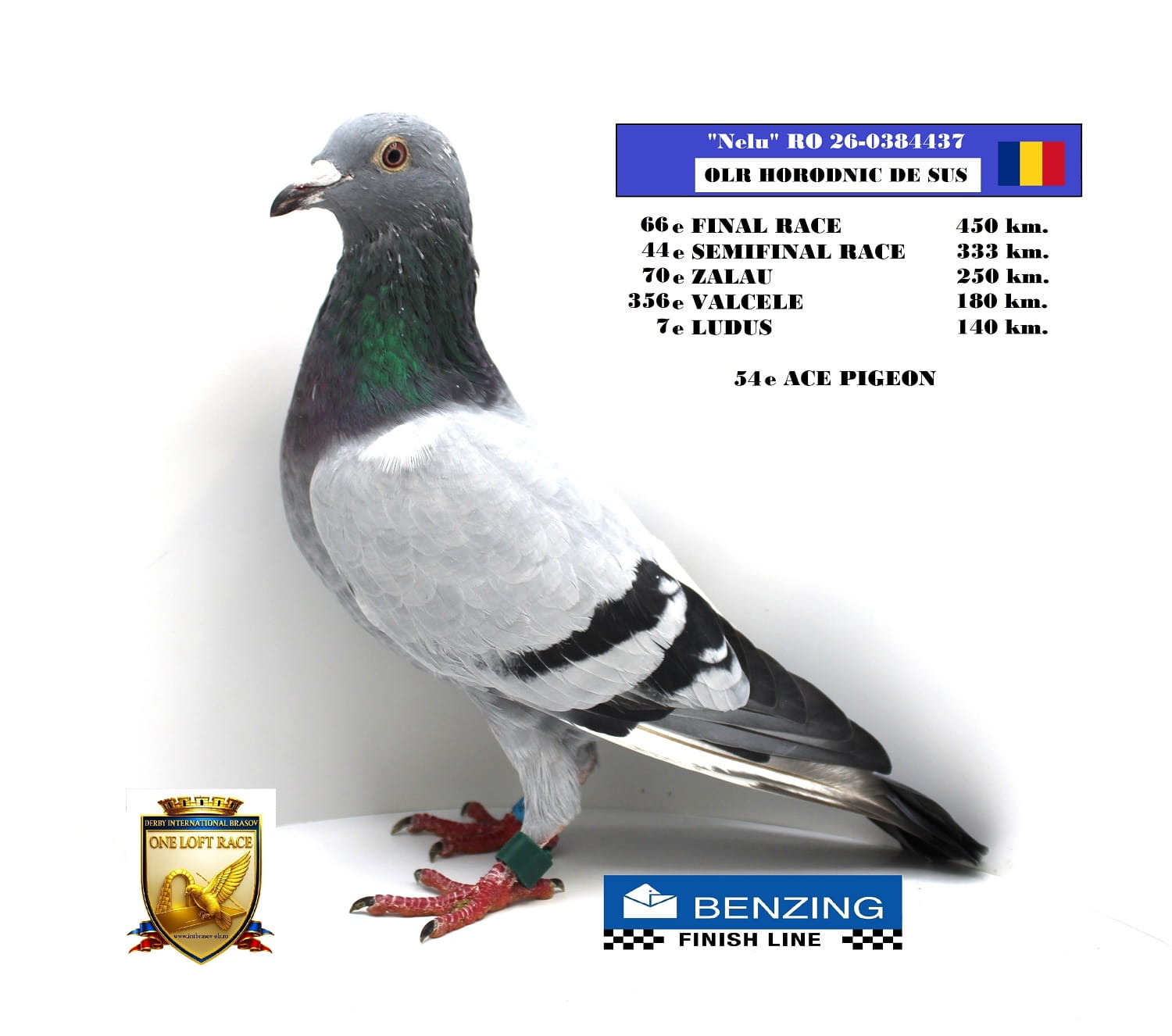 RO 26-0384437