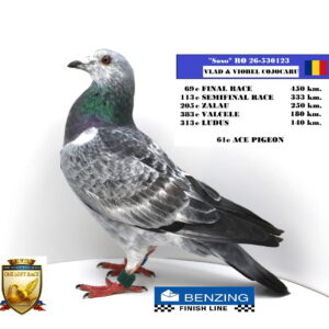 RO 26-530123