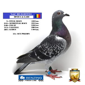 RO 26-0879704
