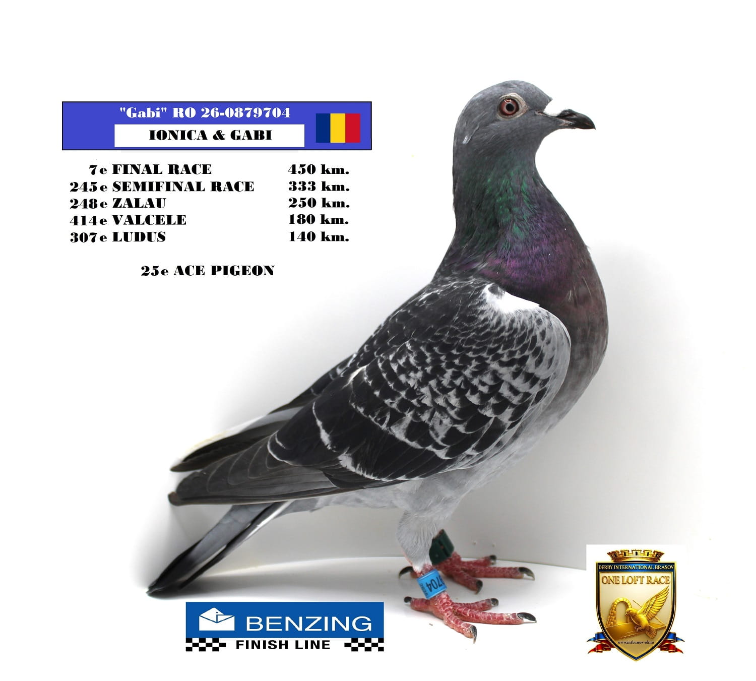RO 26-0879704