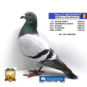 RO 26-0470257