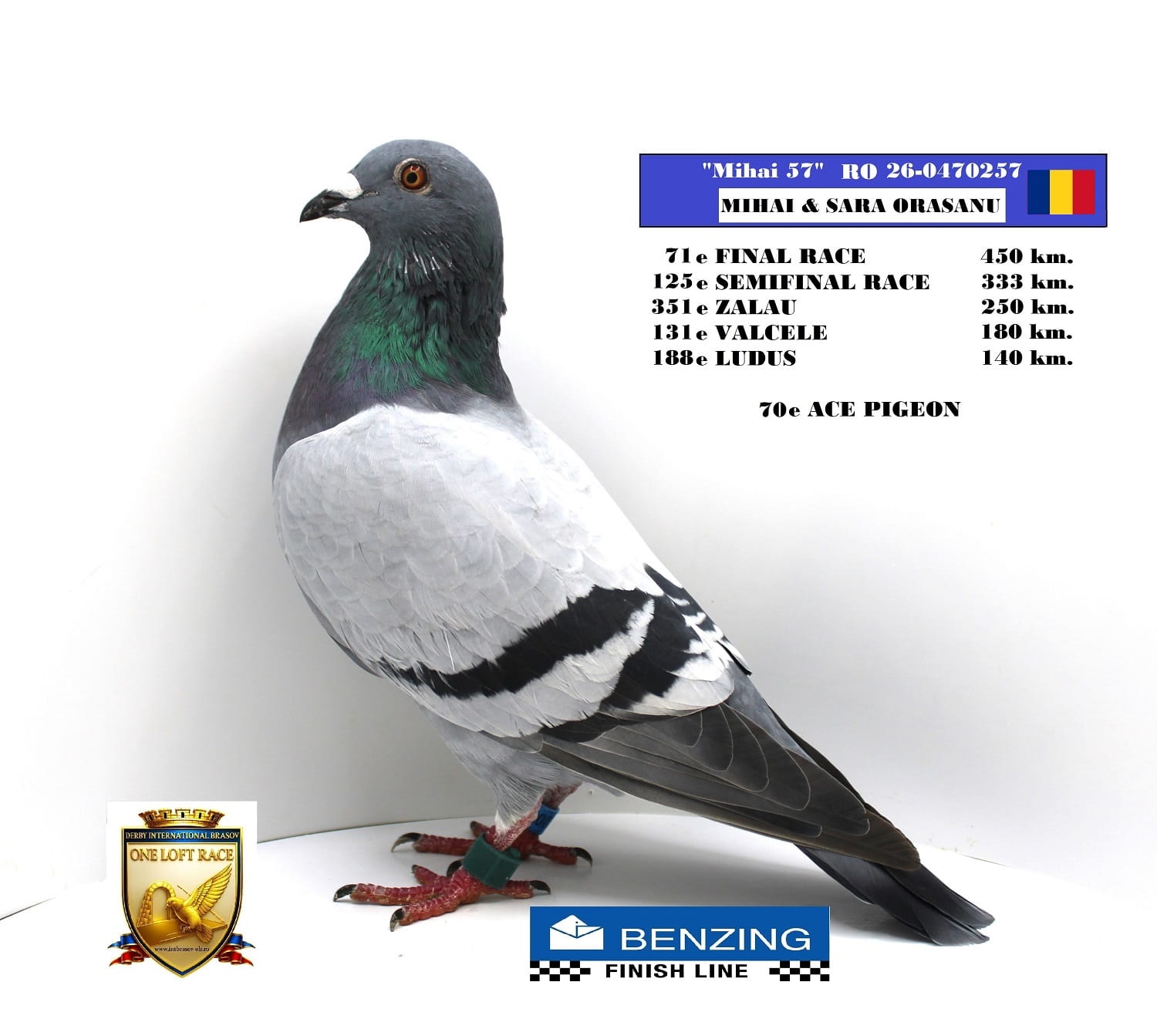 RO 26-0470257