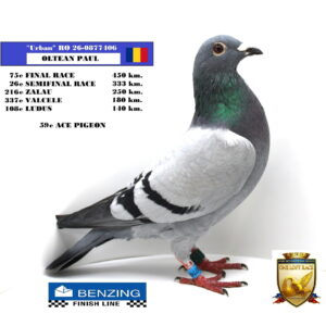 RO 26-0877406