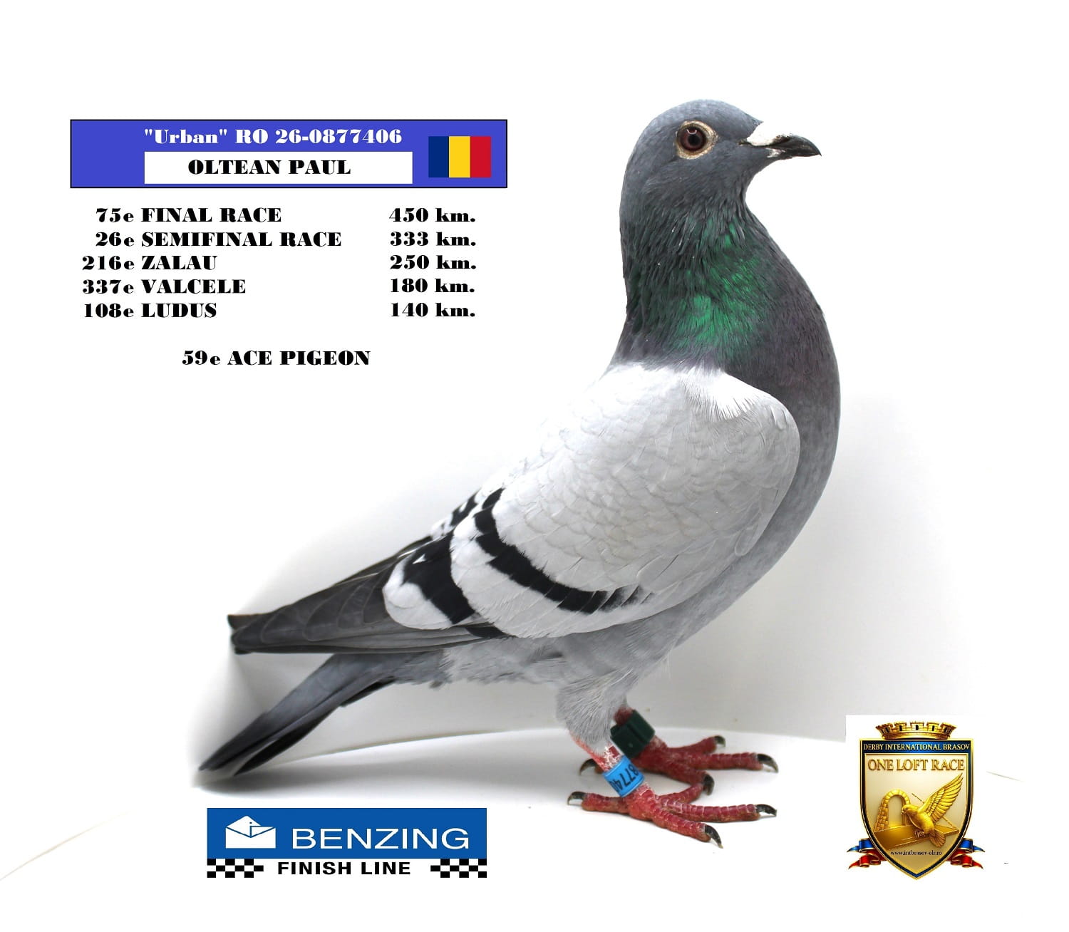 RO 26-0877406