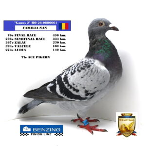 RO 26-0886661