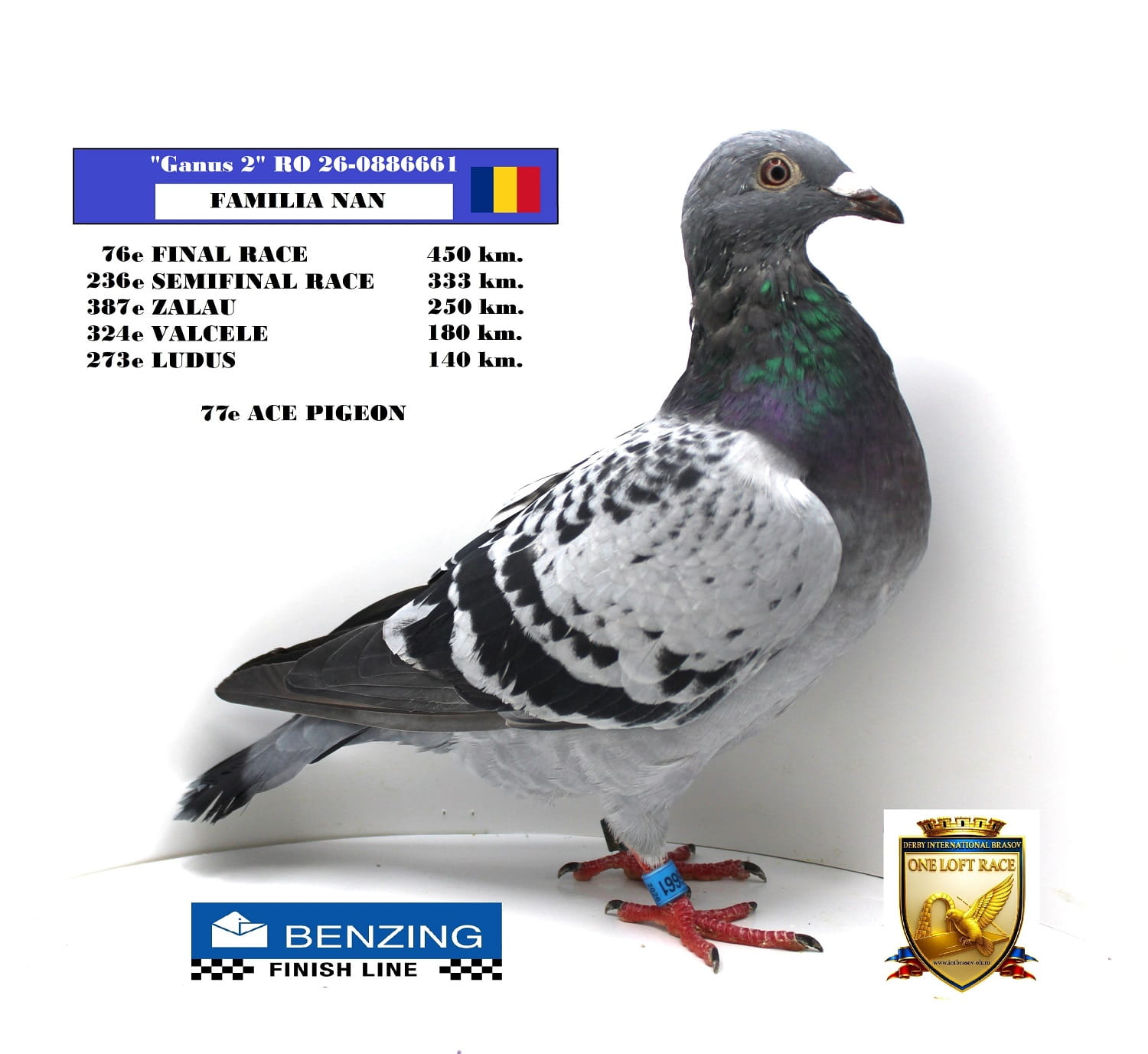 RO 26-0886661