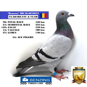 RO 26-0870033