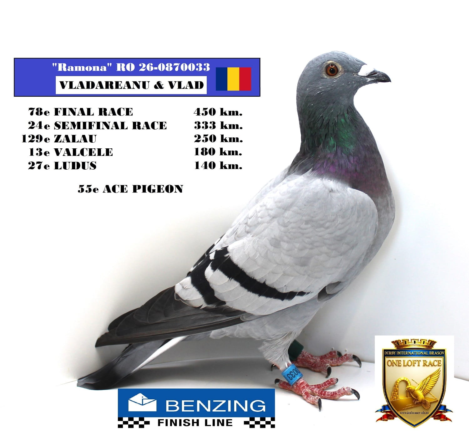 RO 26-0870033