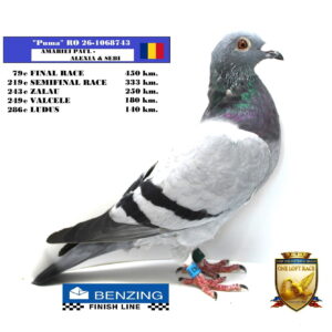 RO 26-1068743