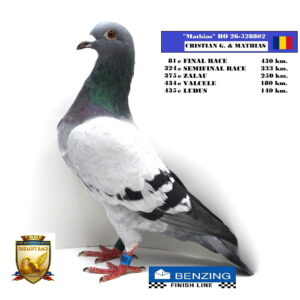 RO 26-528802