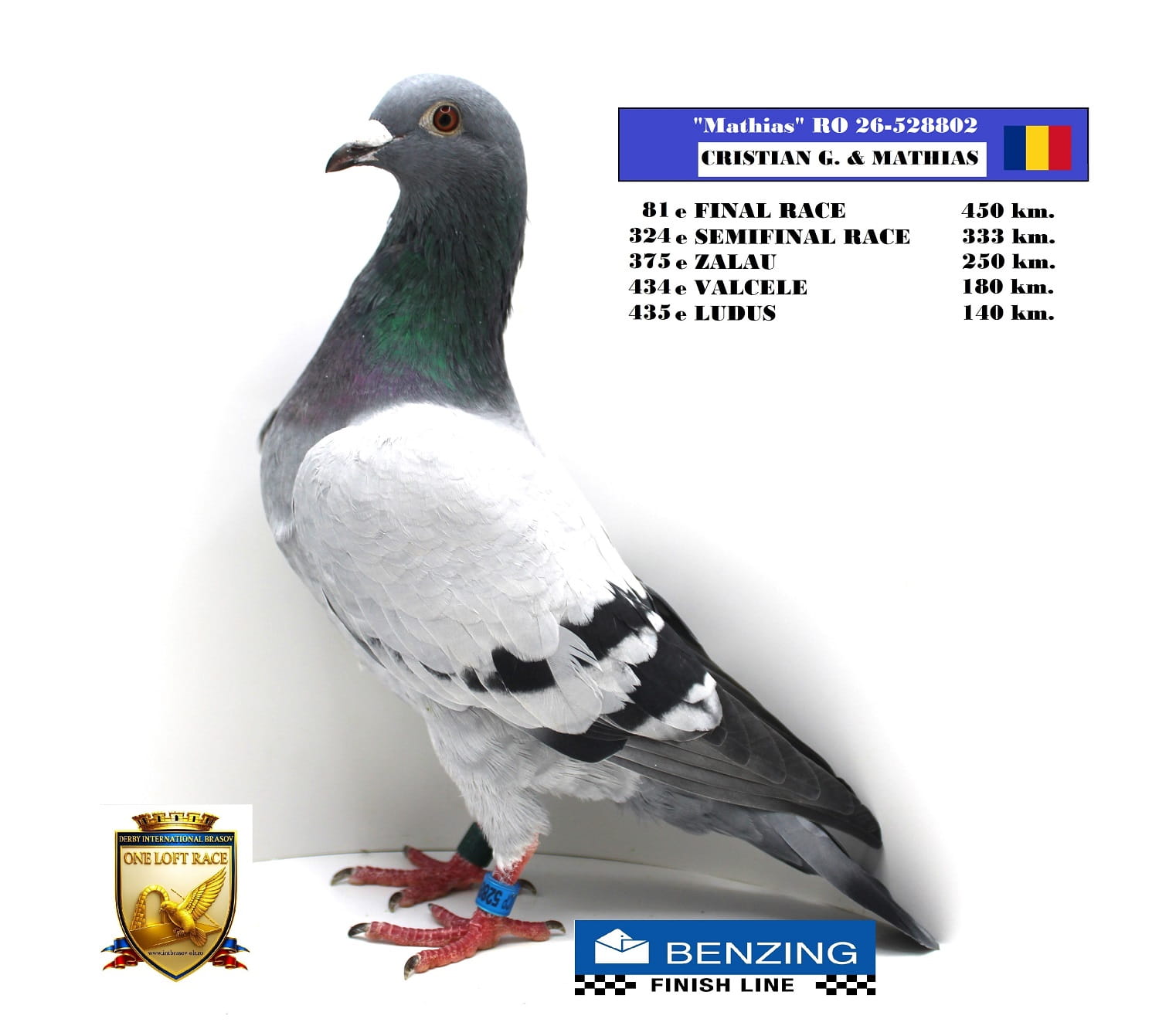RO 26-528802