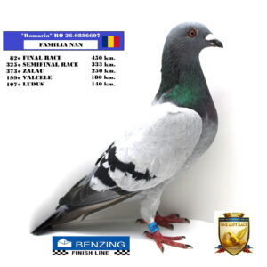 RO 26-0886607