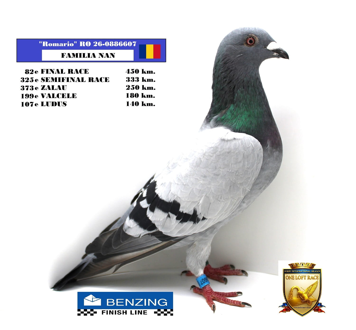 RO 26-0886607