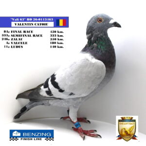 RO 26-0113463