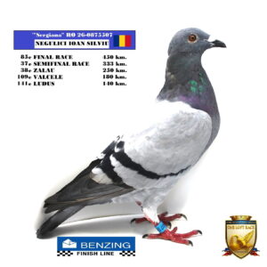 RO 26-0875507