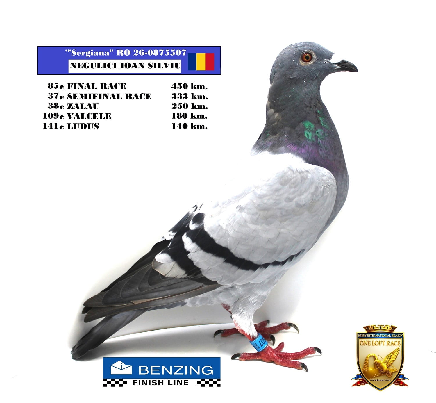 RO 26-0875507