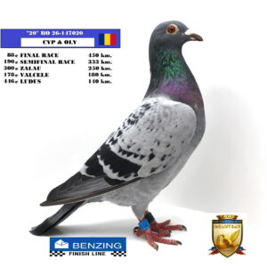 RO 26-147020