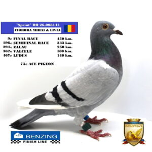 RO 26-008144