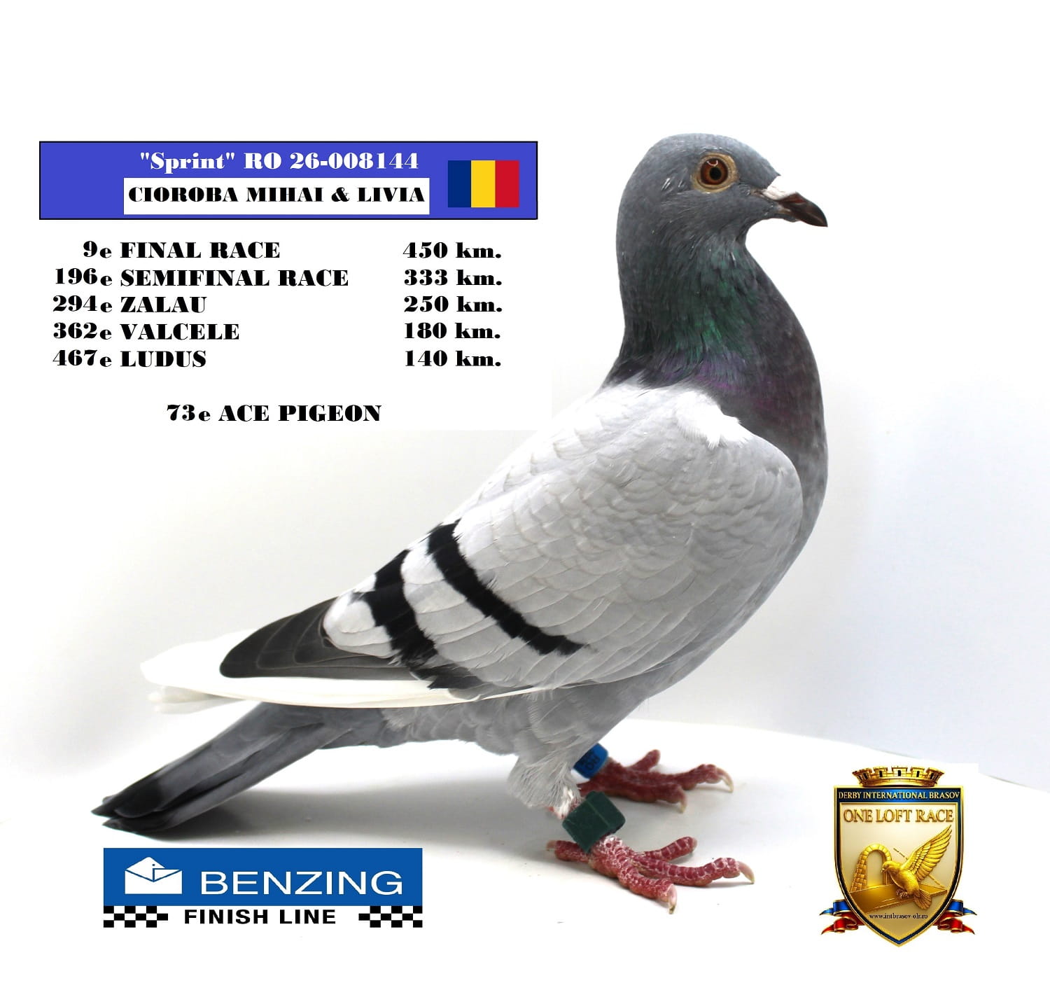 RO 26-008144