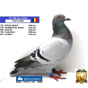 RO 26-147007
