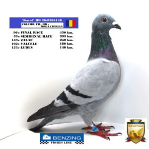 RO 26-0786148