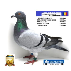 RO 26-0150686