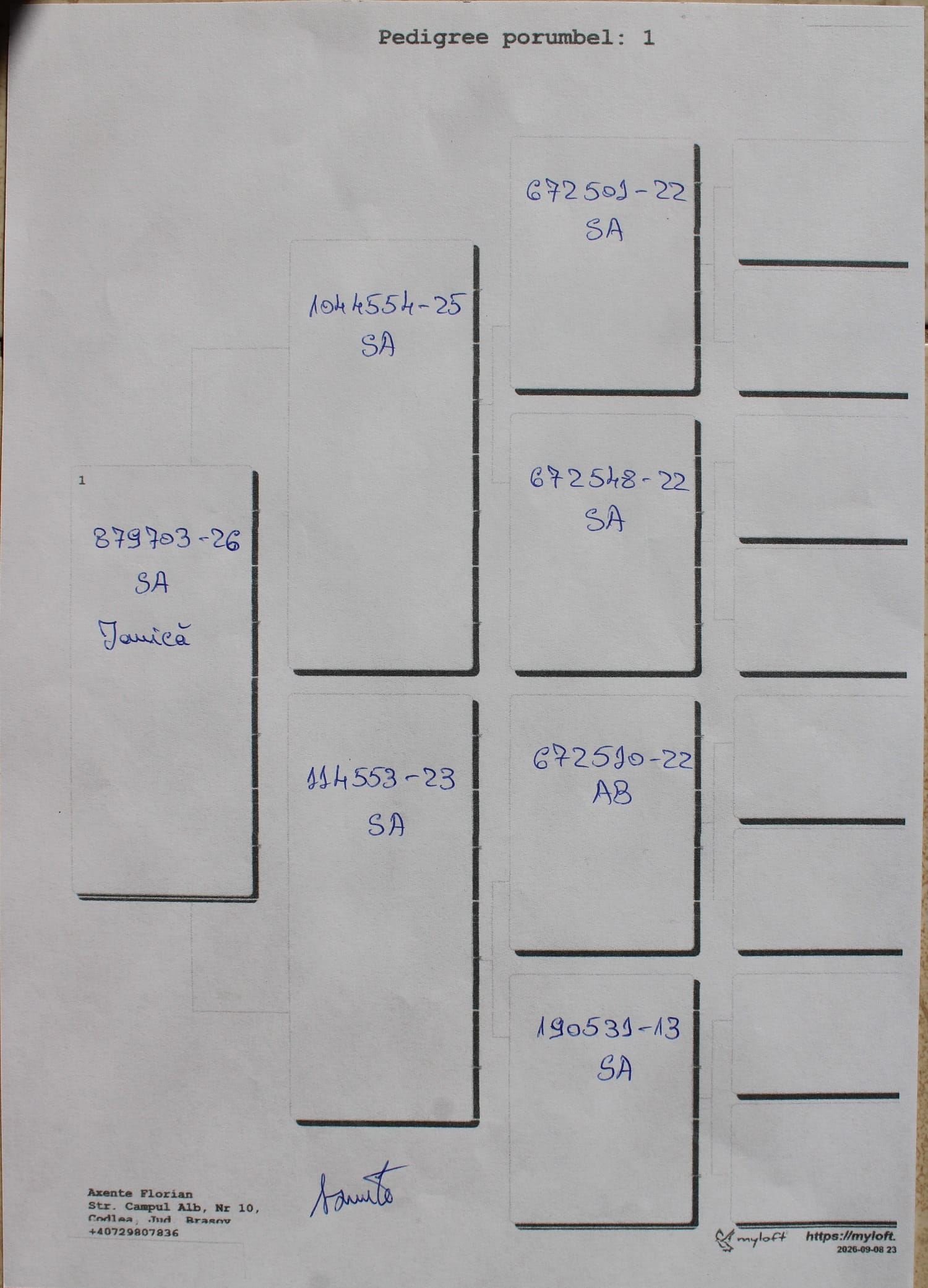 RO 26-0879703 - Image 2