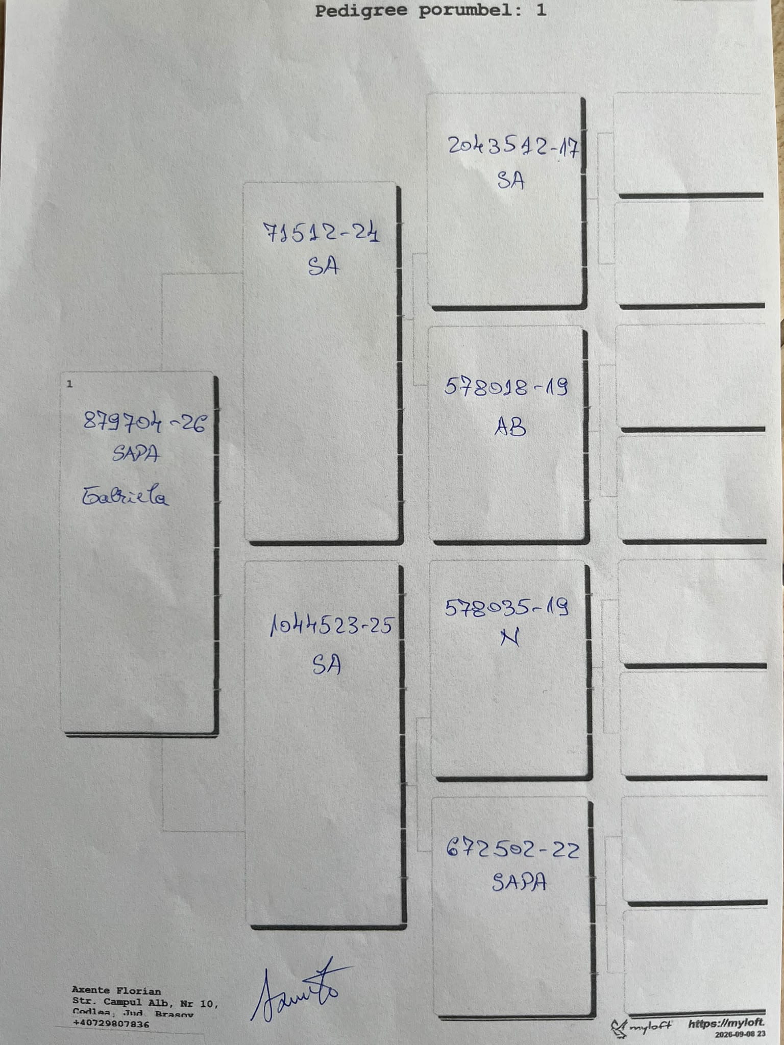 RO 26-0879704 - Image 2